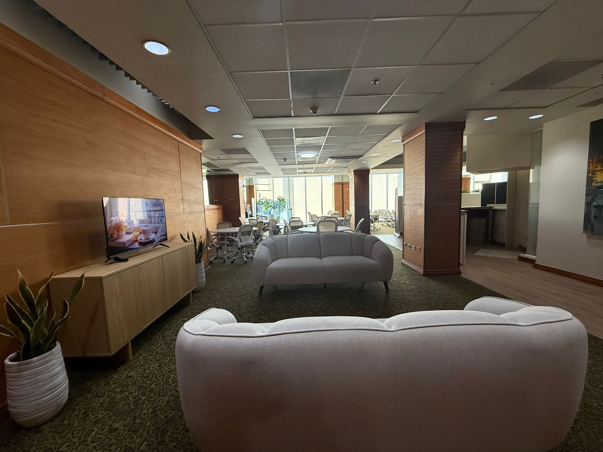 Area lounge con sofas elegantes, smart TV, plantas y mesas de trabajo al fondo