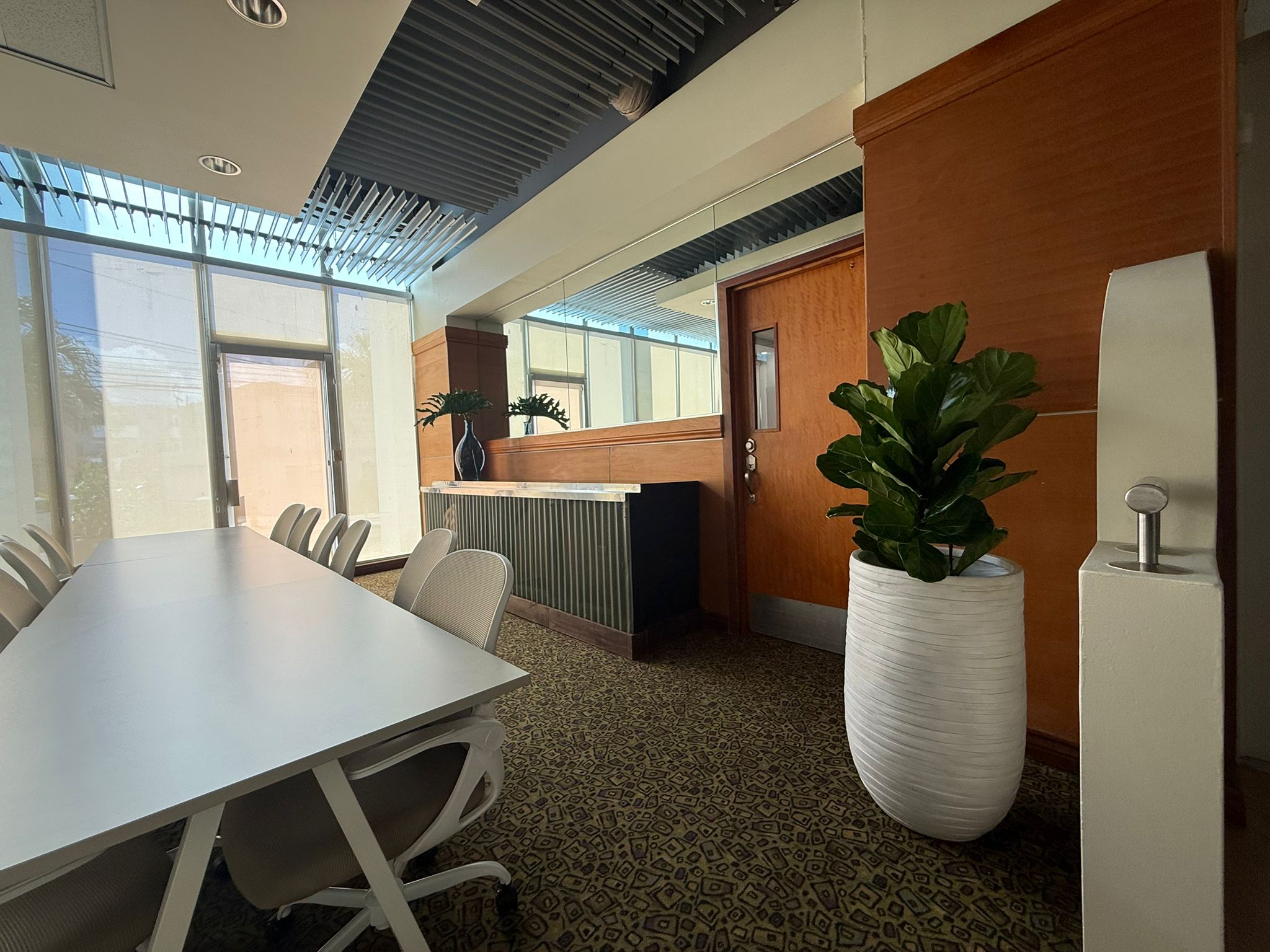 Sala de trabajo con mesa amplia, sillas ergonomicas y plantas decorativas con luz natural