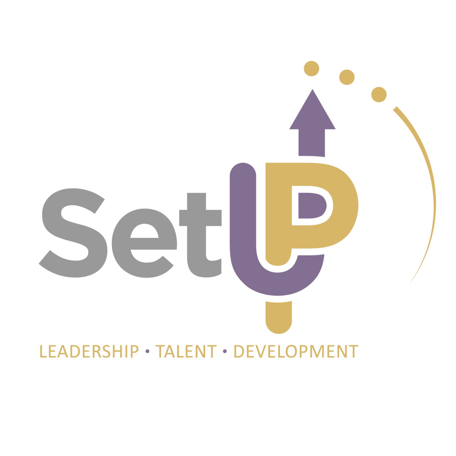 Logo de SetUp Consulting and Corporate Development / Diozone Management LLC